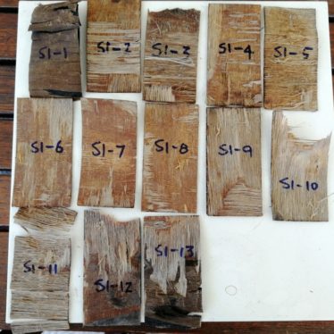 Plywood Glue Bond Quality Test - (AS/NZS 2098.2: 2012)